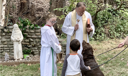 First Communion Practice This Wednesday